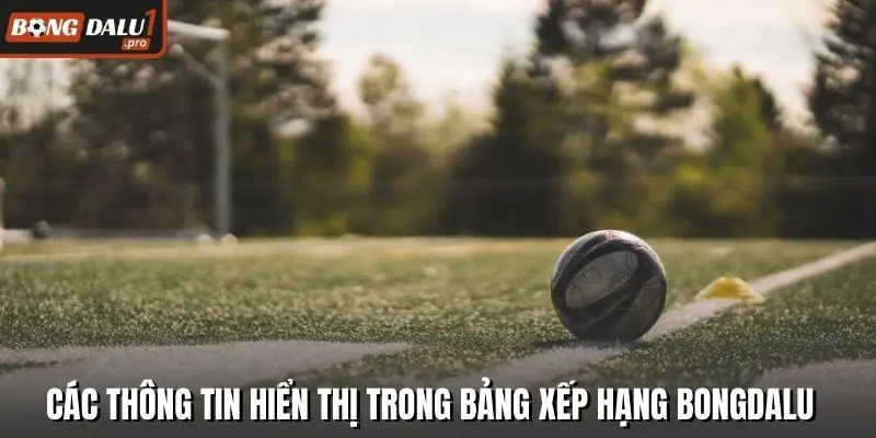 Các thông tin hiển thị trong bảng xếp hạng Bongdalu